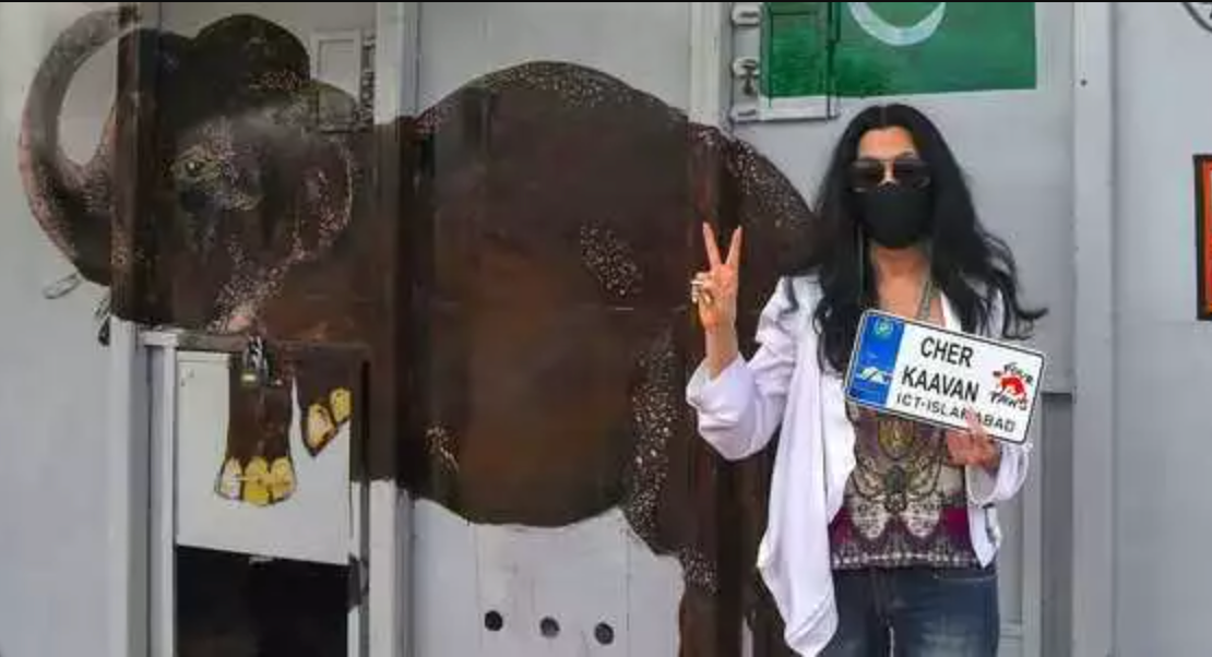 ‘I’ve got you, babe’: How Cher helped save the world’s loneliest elephant Elepanta - Buy Today Elephant Pants Jewelry And Bohemian Clothes Handmade In Thailand Help To Save The Elephants FairTrade And Vegan