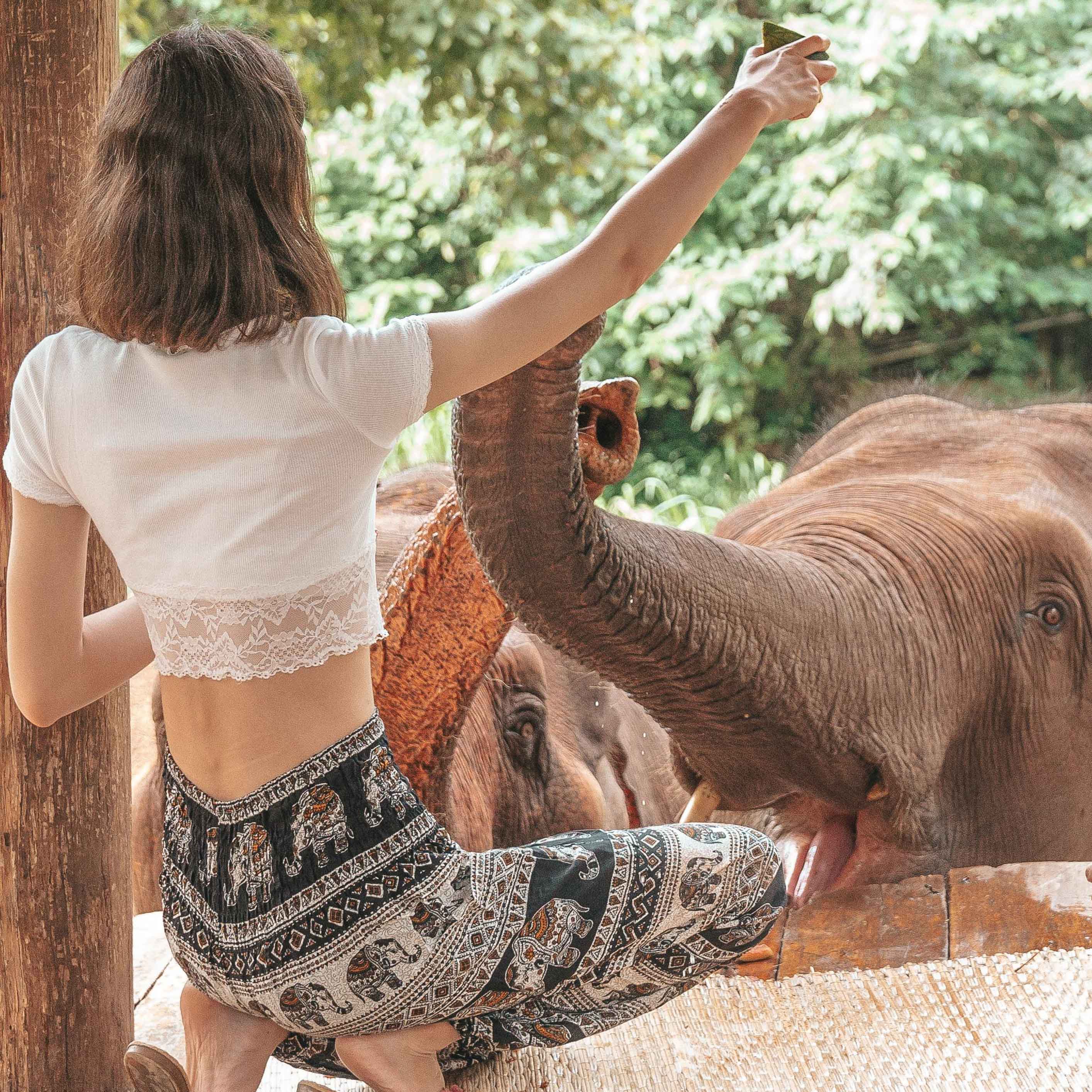 Angkor Pants Elepanta Women's Pants - Buy Today Elephant Pants Jewelry And Bohemian Clothes Handmade In Thailand Help To Save The Elephants FairTrade And Vegan