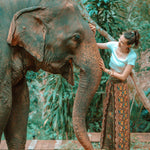 JAIPUR PALAZZO Elepanta Palazzo Pants - Buy Today Elephant Pants Jewelry And Bohemian Clothes Handmade In Thailand Help To Save The Elephants FairTrade And Vegan