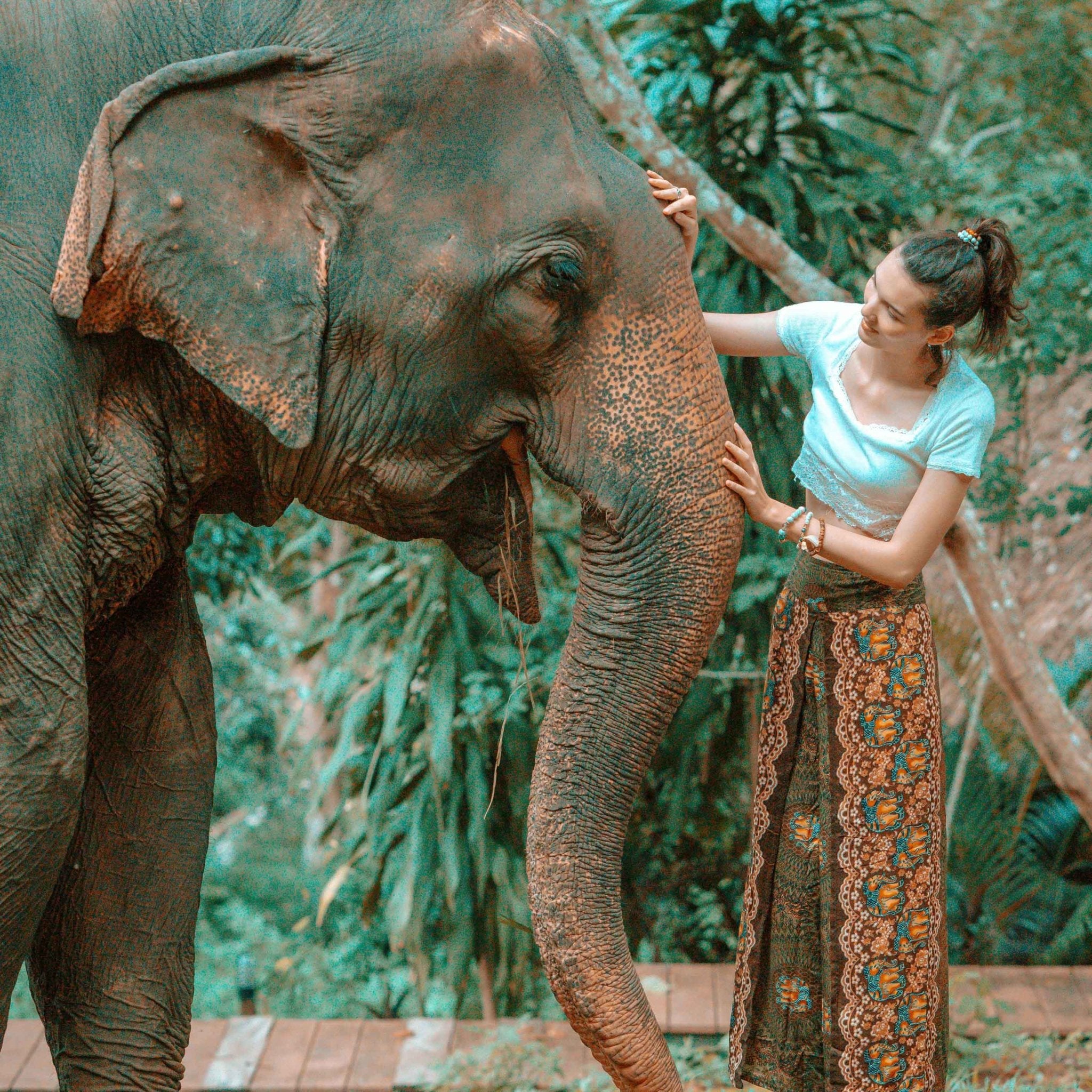 JAIPUR PALAZZO Elepanta Palazzo Pants - Buy Today Elephant Pants Jewelry And Bohemian Clothes Handmade In Thailand Help To Save The Elephants FairTrade And Vegan