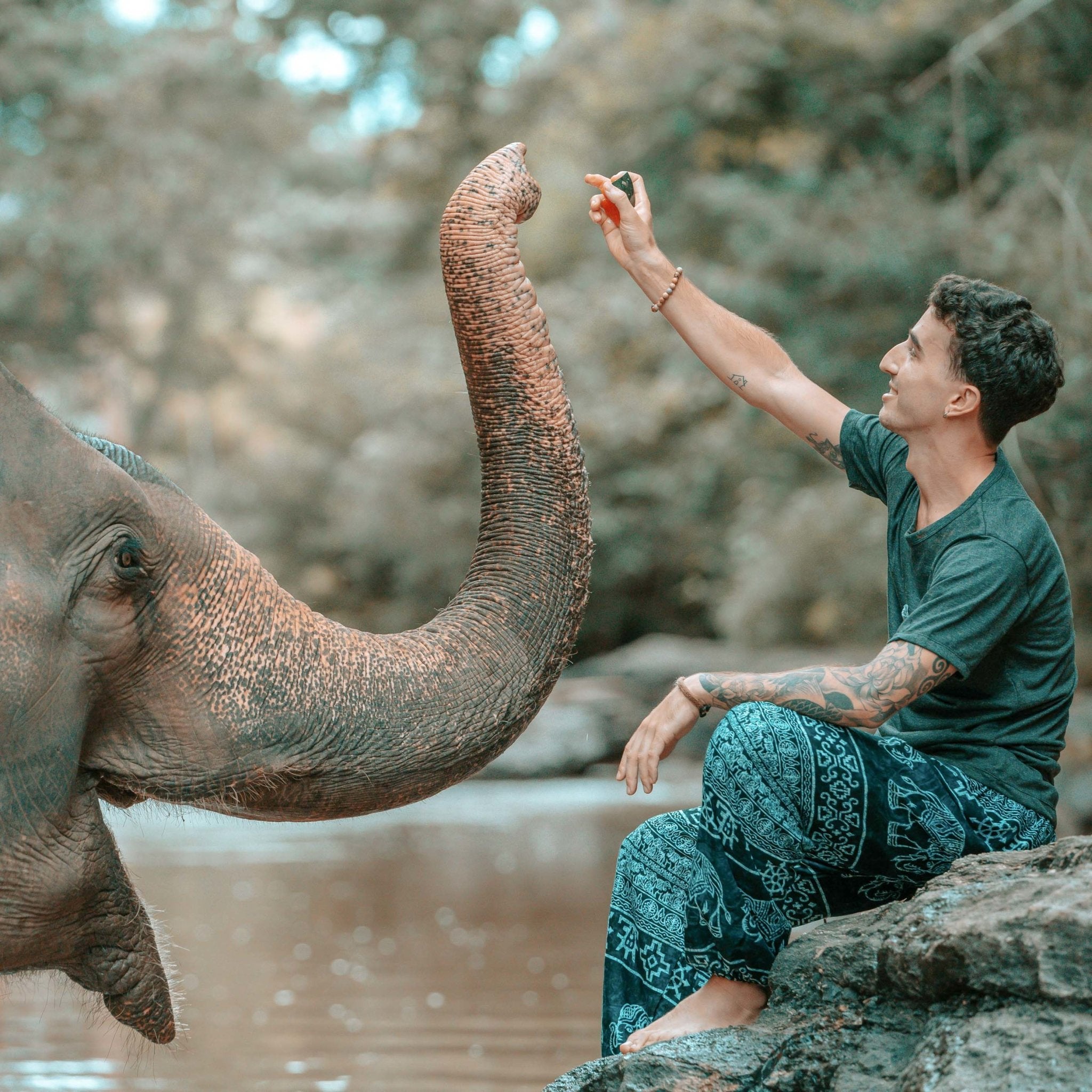COLOMBO PANTS - Drawstring Elepanta Drawstring Pants - Buy Today Elephant Pants Jewelry And Bohemian Clothes Handmade In Thailand Help To Save The Elephants FairTrade And Vegan