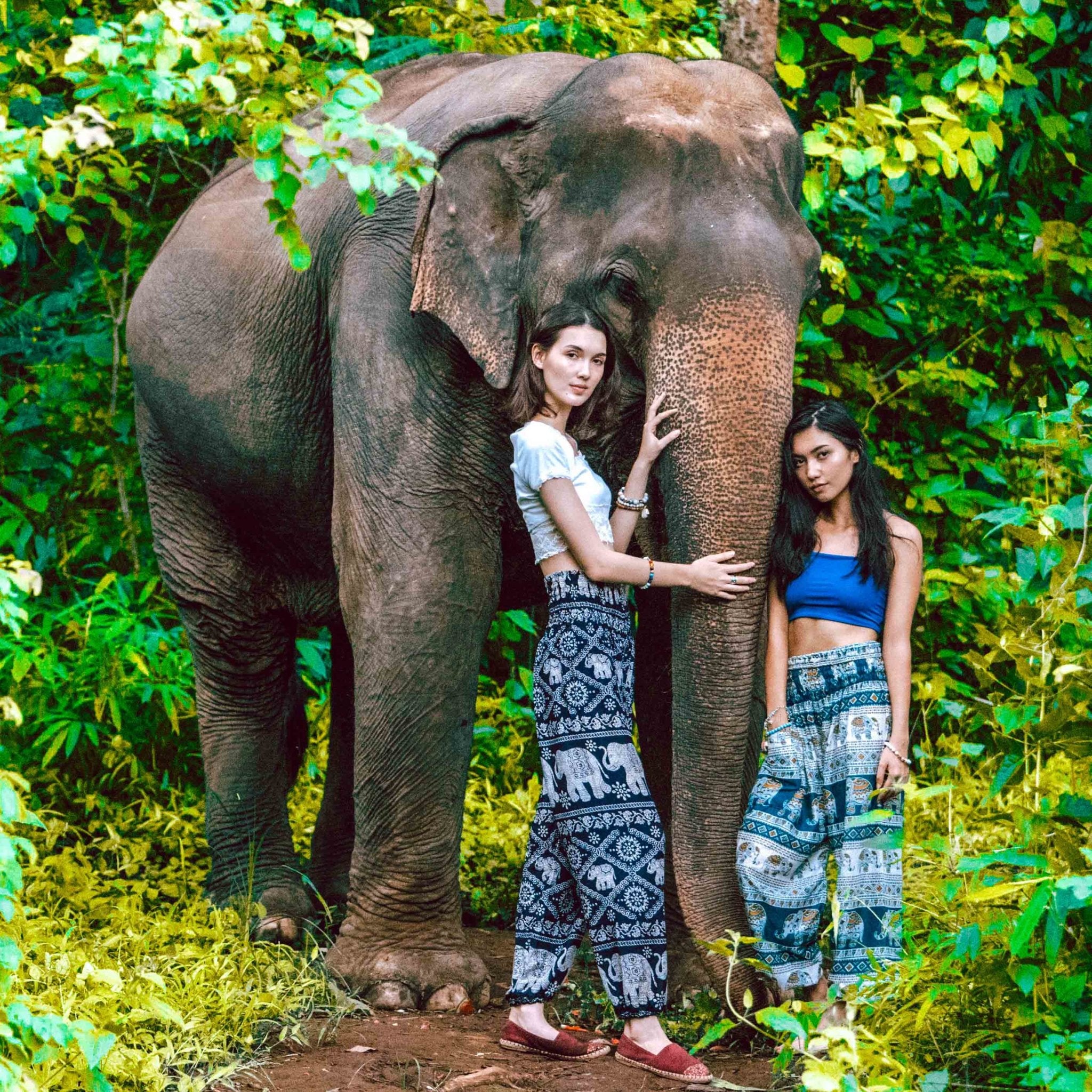 MANDALAY PANTS - Elastic Waists Elepanta Elastic Waist Pants - Buy Today Elephant Pants Jewelry And Bohemian Clothes Handmade In Thailand Help To Save The Elephants FairTrade And Vegan