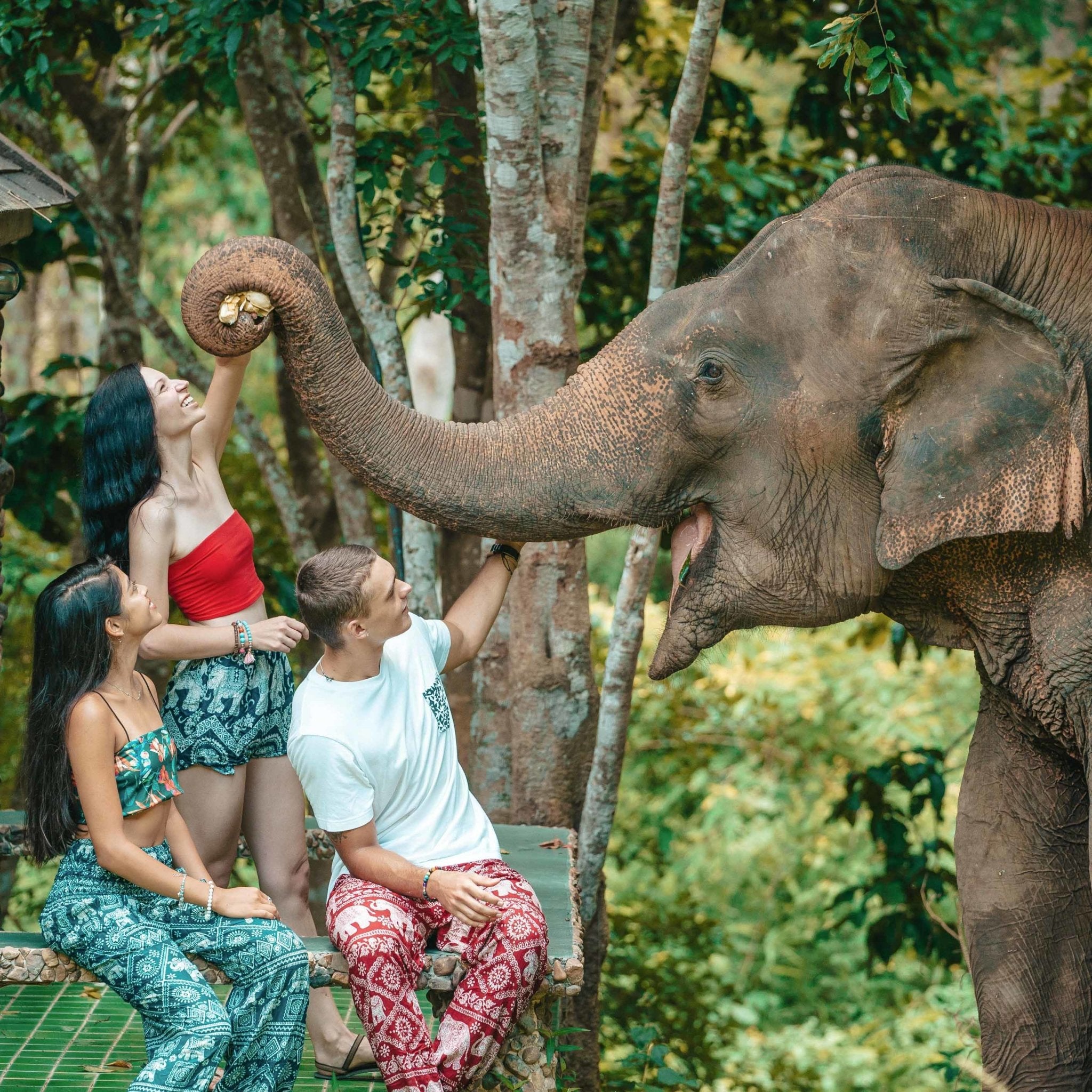 MANDALAY PANTS - Drawstring Elepanta Drawstring Pants - Buy Today Elephant Pants Jewelry And Bohemian Clothes Handmade In Thailand Help To Save The Elephants FairTrade And Vegan