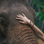MALAWI ELEPHANT BRACELET Elepanta Elephant Bracelet - Buy Today Elephant Pants Jewelry And Bohemian Clothes Handmade In Thailand Help To Save The Elephants FairTrade And Vegan